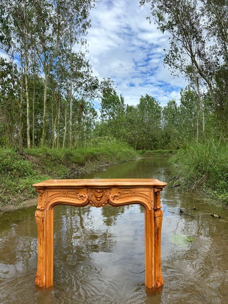 Exclusive Mantle in the style of Louis XV