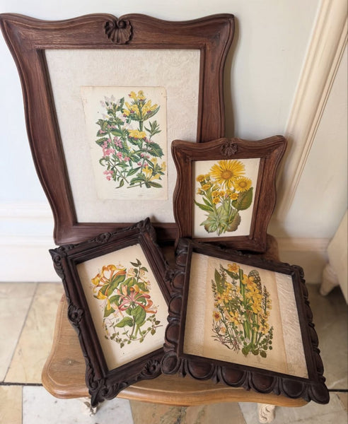 Classic Louis XV elegant frame~