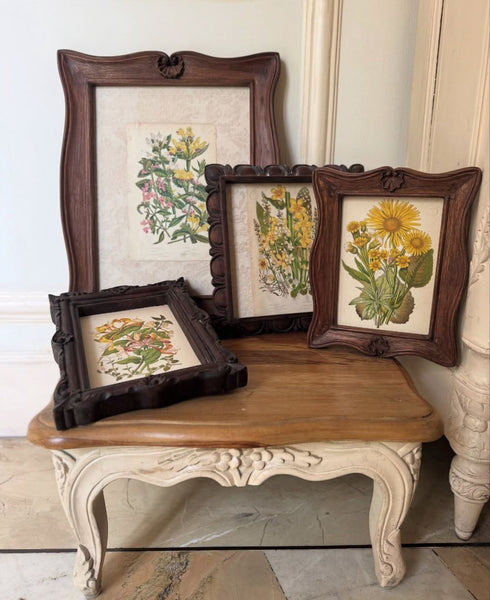 Classic Louis XV elegant frame~