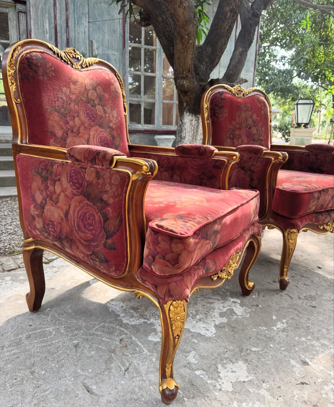 Louis XV bergère with cockle~