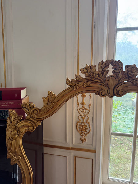 Elegant frame with a dramatic silhouette~