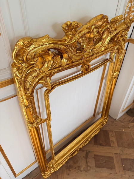 Frame inspired by mid 19th century~