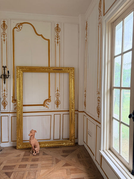 Louis XV elegant oversized frame~