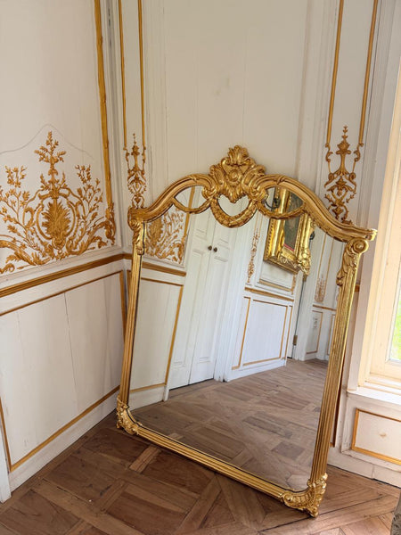 Elegant frame with wreaths~