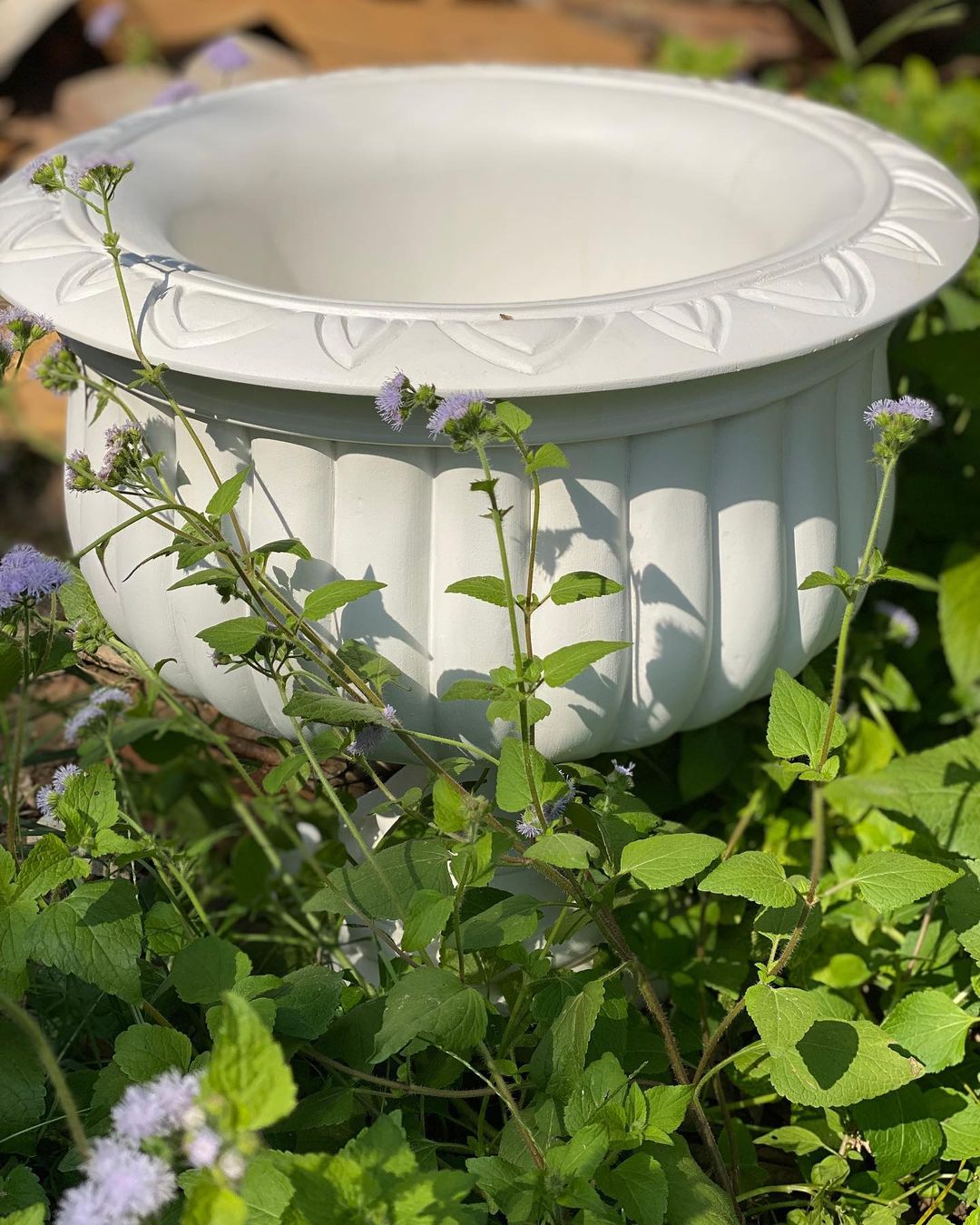 Renaissance style wooden garden urn