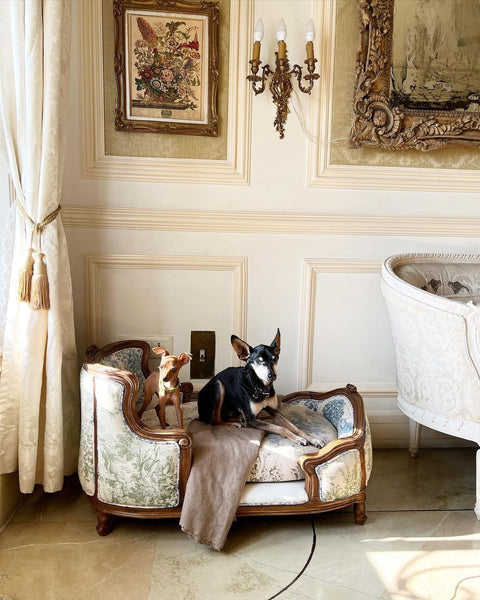 Duchesse pour les quadrupèdes/ Dog Bed