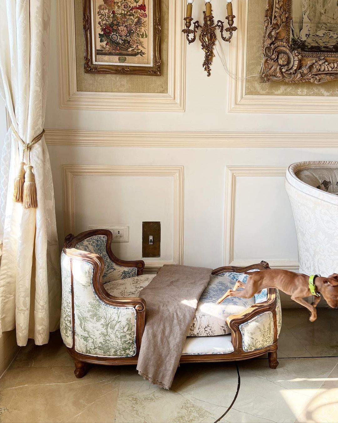 Duchesse pour les quadrupèdes/ Dog Bed