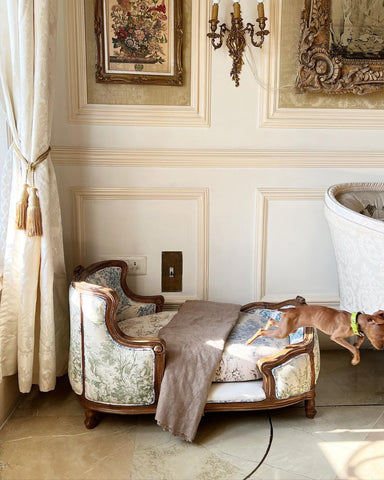 Duchesse pour les quadrupèdes/ Dog Bed