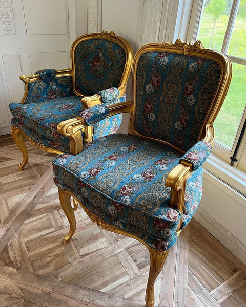 Classic louis XV bergere~