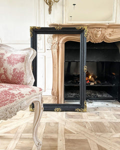 Elegant frame in Louis XV