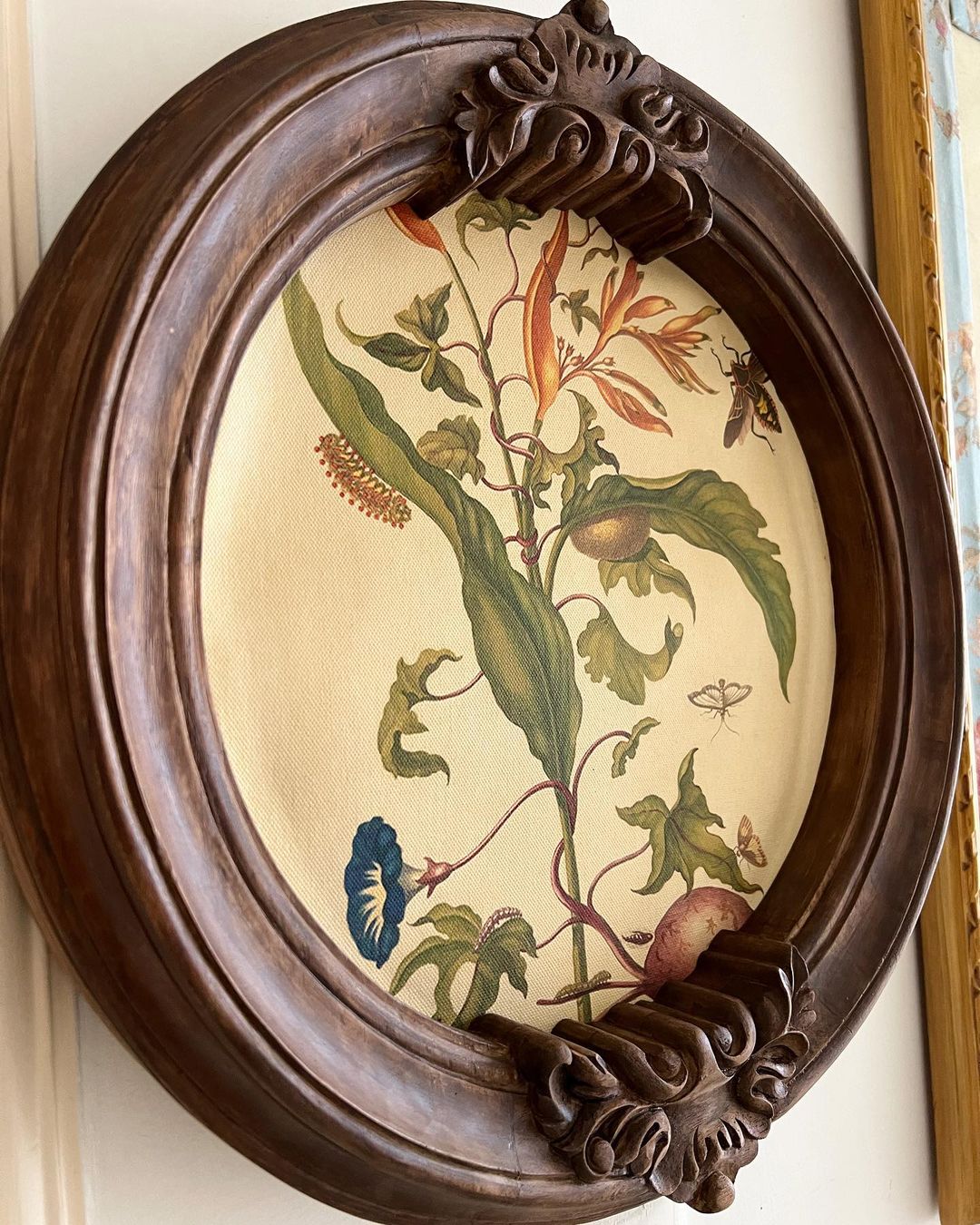 Circular frame with foliage cartouche