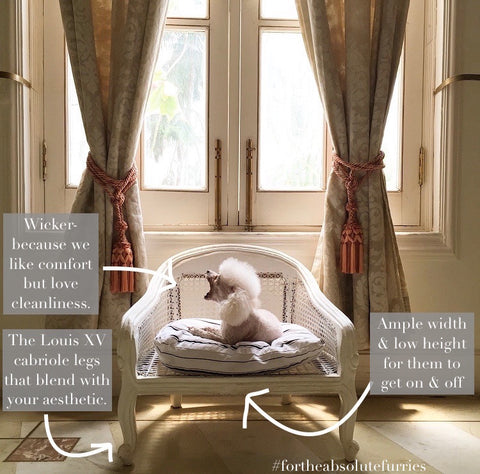 The Louis XV dog bed for the absolute furry