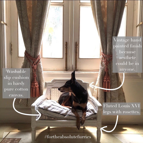 The Louis XVI dog bed for the absolute furry