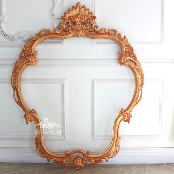 Frames inspired by the French gilded age