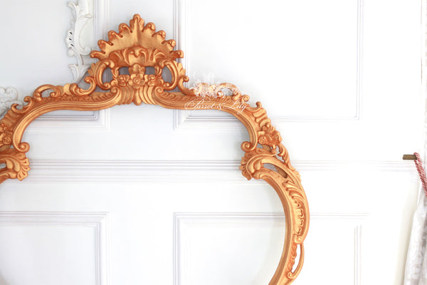 Frames inspired by the French gilded age