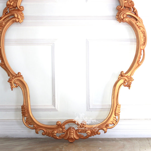 Frames inspired by the French gilded age