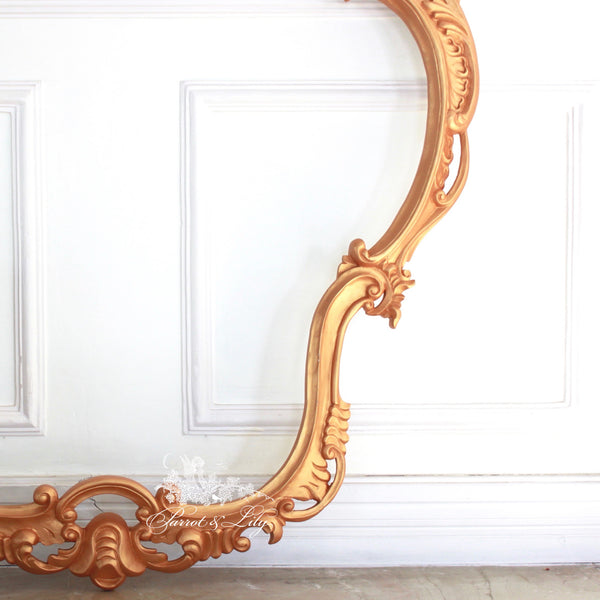 Frames inspired by the French gilded age