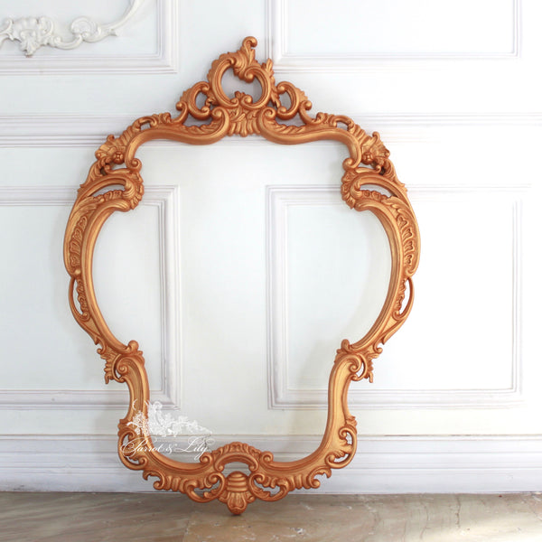 Frames inspired by the French gilded age