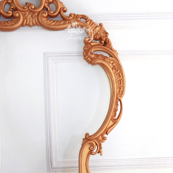 Frames inspired by the French gilded age