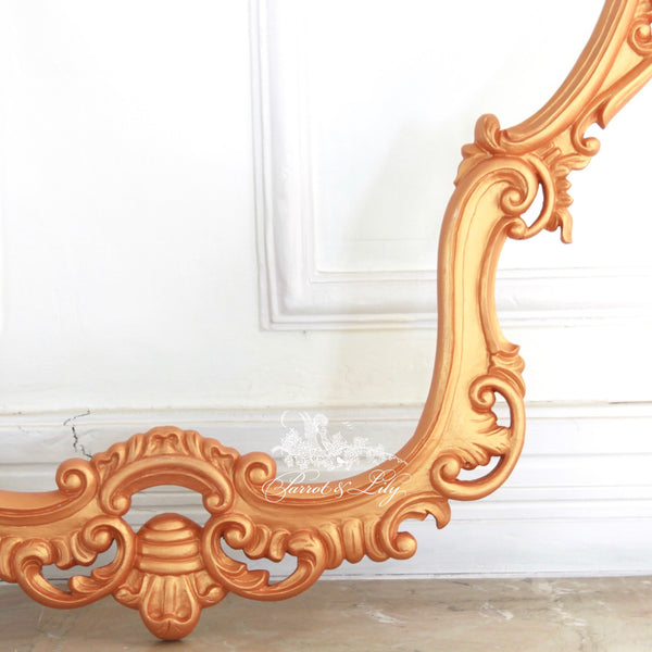 Frames inspired by the French gilded age