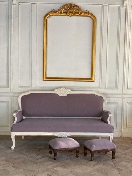 Sofa of Louis XV style with foliage
