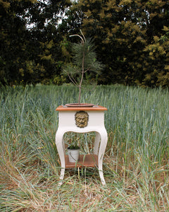Jardinière bearing a rustic Dionysus/ side table / night stand