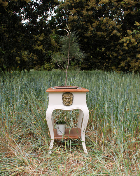 Jardinière bearing a rustic Dionysus/ side table / night stand