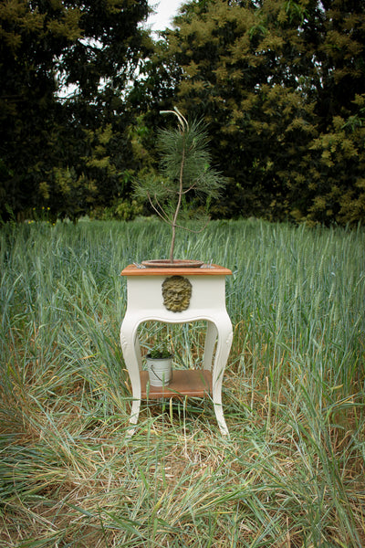 Jardinière bearing a rustic Dionysus/ side table / night stand