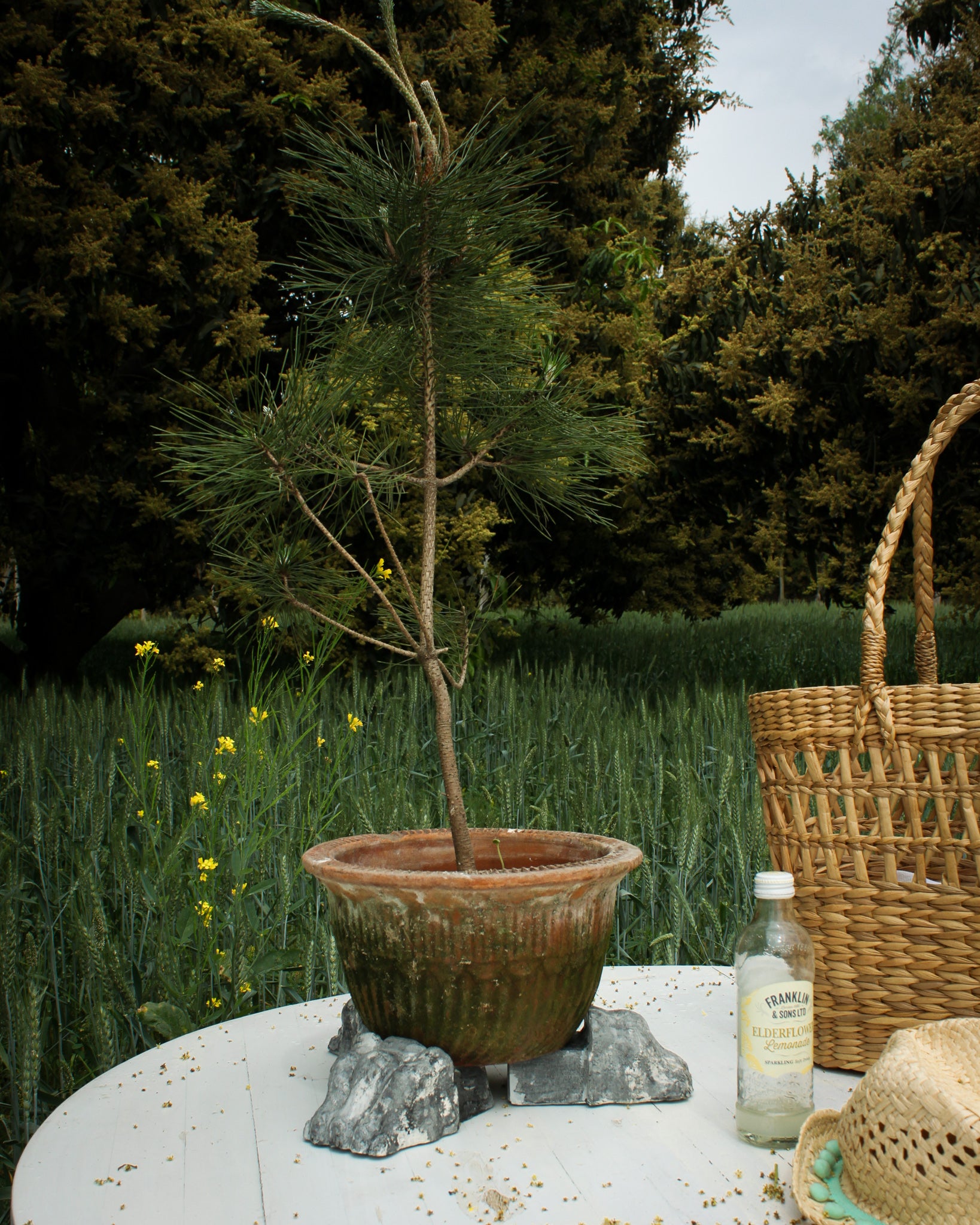 Beast feet pot rising pedestals; set of Three