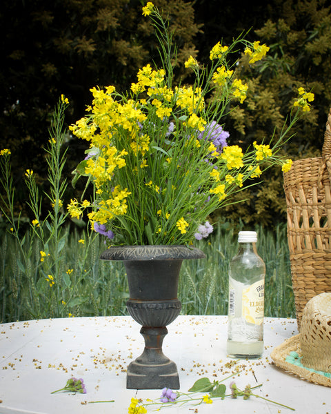 Sleek French Urn for the Garden