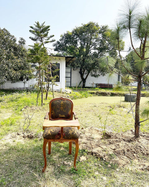 Louis XV high chair for the absolute hearts