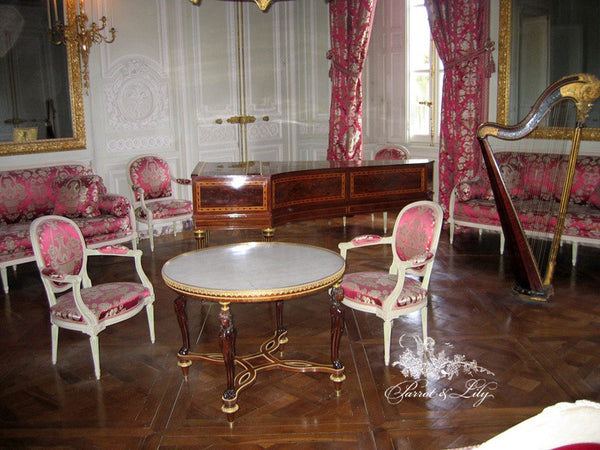 Chair iconised by Louis XVI with rosettes